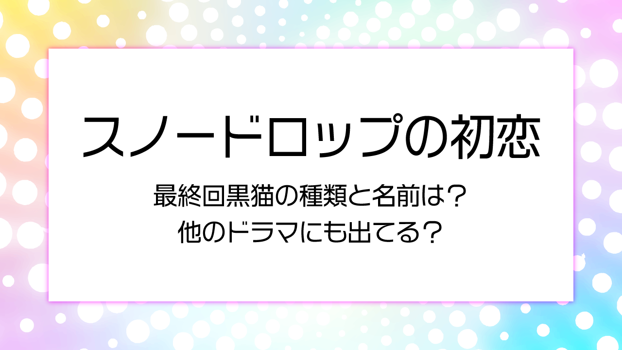 猫の種類と名前は？他のドラマにも出てる？